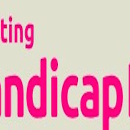 stichting handicap aanpassing